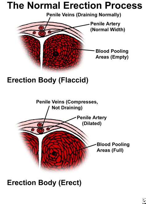ed meaning medical.